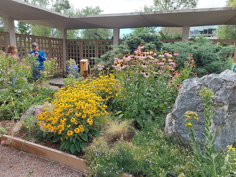 Can You Really Design a Landscape Without Visiting My Property?