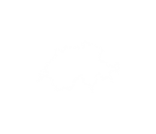 Carte de la Suisse