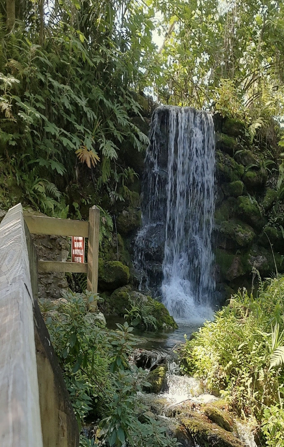 park waterfall.jpg