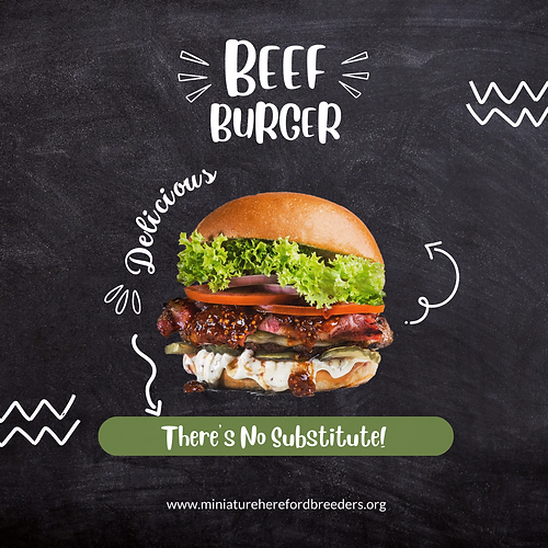 Beef Burger There's No Substitute Social Media Graphic.png