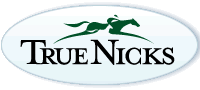 True Nicks offered to find the winning cross for King Zachary or Tiz Mischief.