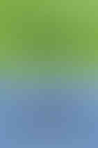 Normal people by Sally Rooney