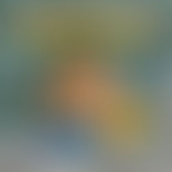 Book Review: One Italian Summer by Rebecca Serle