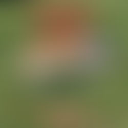 Reading Wrap-Up vs. TBR Meaning