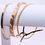 Thumbnail: Gold Bangle Set