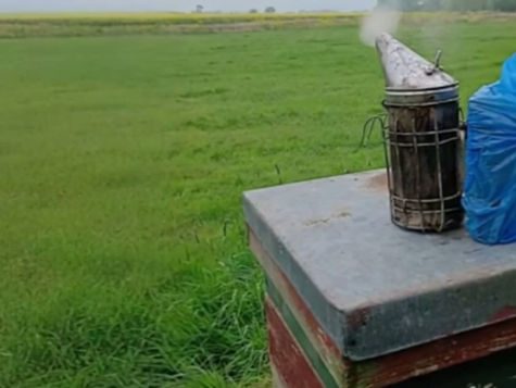 from a beekeepers smoker gently bellowing in the wind to bees on a frame to the honey we produce in our video