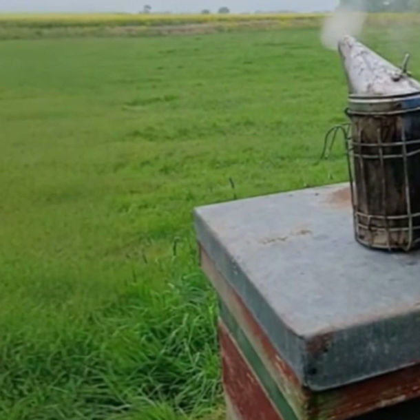 from a beekeepers smoker gently bellowing in the wind to bees on a frame to the honey we produce in our video