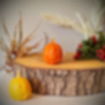 Small beeswax pumpkin candles .