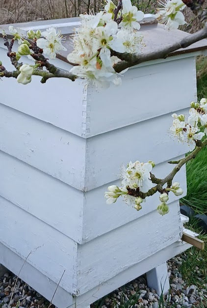 Hives reflects our products