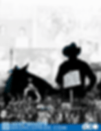Silhouetted cowboy and horse against collage of people, trophies, and historic images. Text: "Fayetteville State University." Website link shown.