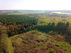 Photo par drone d'une parcelle boisée