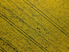 Beaufort Drone phographie vidéo aérienne paysage nature faune flore bois etangs forêt plaine Beauce Orléans dégat gibier intempérie