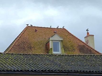 Toiture en tuile à nettoyer par drone à Poitiers dans la Vienne 86