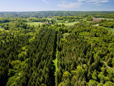 Beaufort Drone phographie vidéo aérienne paysage nature faune flore bois etangs forêt plaine Poitier Chatellerault Montmorillon Poitou