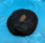 Thumbnail: Deluxe Galapagos