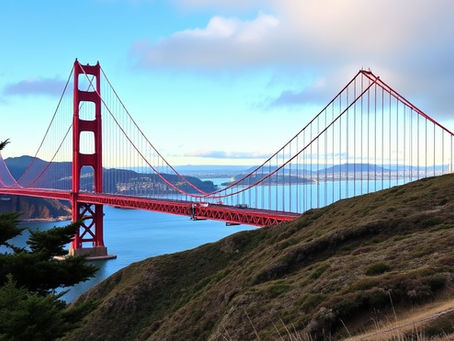 Backup Solutions for North Bay Businesses: Protecting San Rafael, Larkspur & Marin County Companies from Data Loss