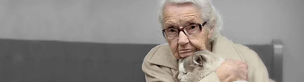 minimahulp voor huisdieren