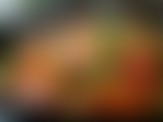 Discover the Best Woks for Perfect Stir Frying