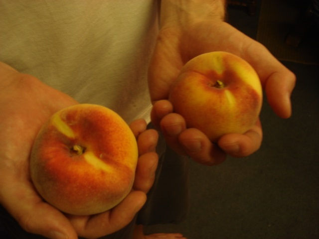 Thumbnail: Fruit Of The Week Sample (Seasonal)