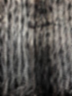 PEACOCK CHARCOAL