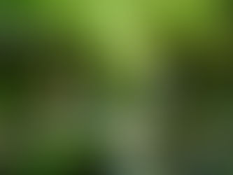 夏の暑さもあとわずか