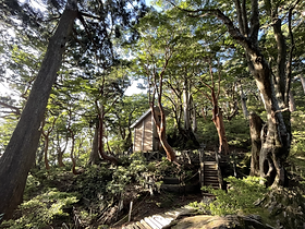 縄文杉と白谷雲水峡一泊二日キャンプ | Kichikin Trek 屋久島