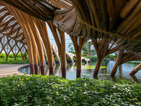 The Riviera Maya Grows 9-10% in 2026: What It Means for Visual Marketing on Pre-Sale Developments