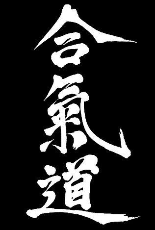 Aikido Kanji Writting Japanese Symbol