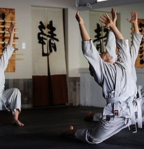 Aikido Sarasota Aikikai Classes