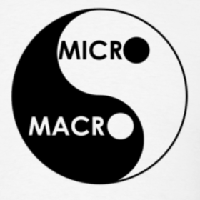 micro-vs-macro