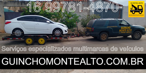 Serviços de Guincho em Monte Alto - SP e região 16 99781-4870 Andre de Segunda a Domingo