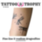 Fine line realism dragonflies