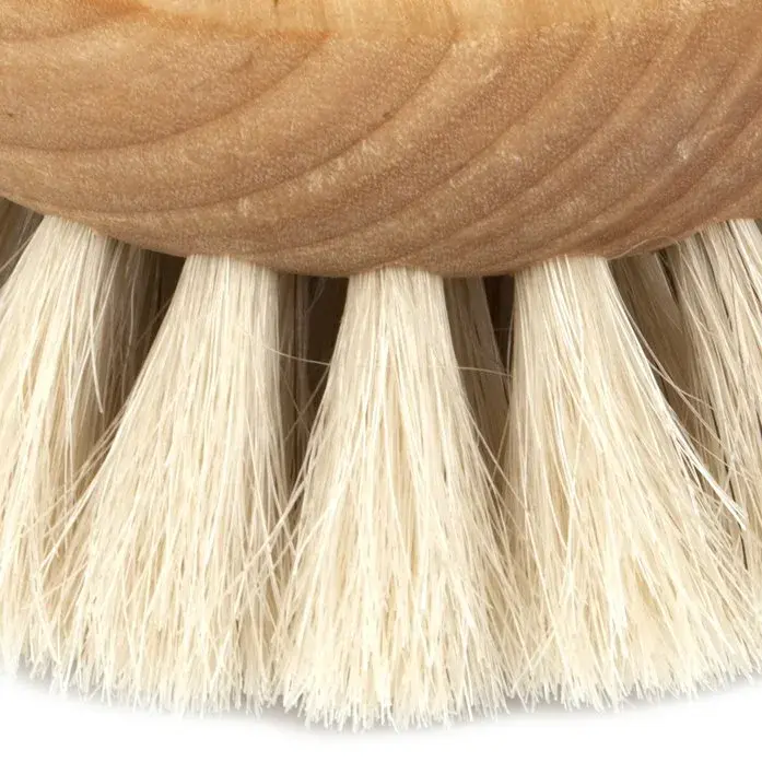 Thumbnail: Swedish Dish Brush