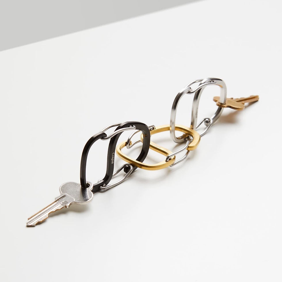 Thumbnail: Coachwhip Carabiner Keyring - Black