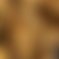 Crunchy Walnut-Pecan Biscotti: A Coffee Time Treat