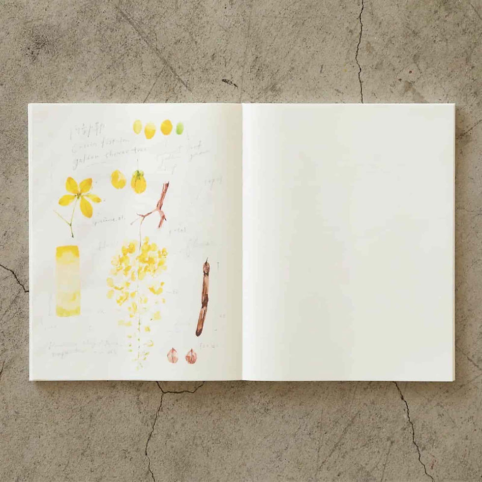Thumbnail: MD F3 Cotton Paper Notebook