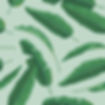 Les feuilles vertes sur le vert