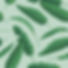 Les feuilles vertes sur le vert