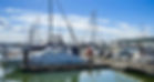 Boats docked in a marina