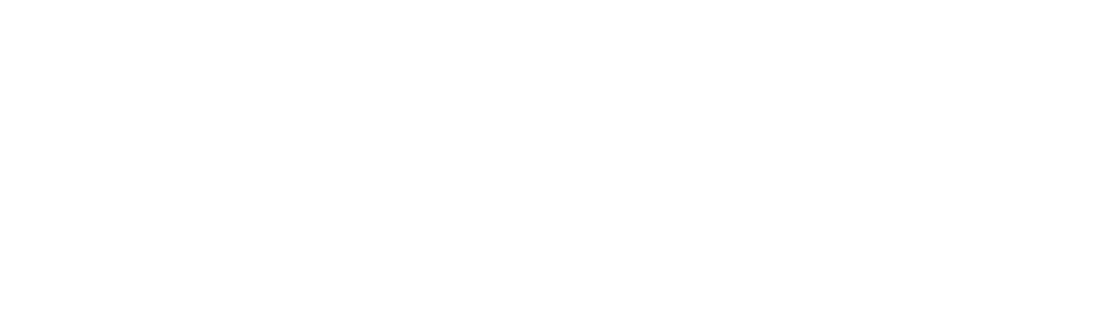 asset 0 1.png