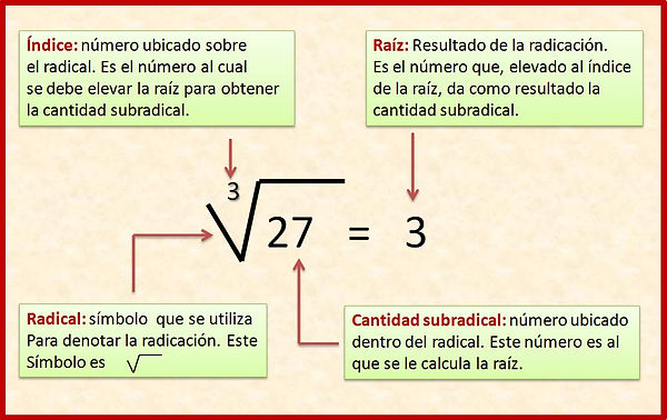 raiz 1.jpg