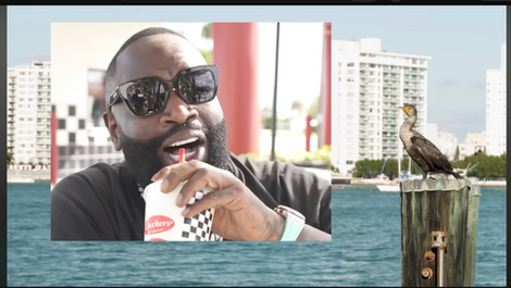 News/Documentary (selected works)