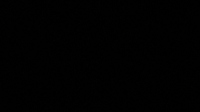 bmgif2.gif
