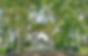 Screen Shot 2021-06-30 at 5.35.21 PM.png