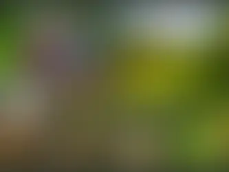 Rooted in Ritual: Activating for Seasonal Affective Disorder SAD