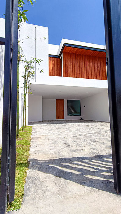 IMG20240613105433 edit.jpg