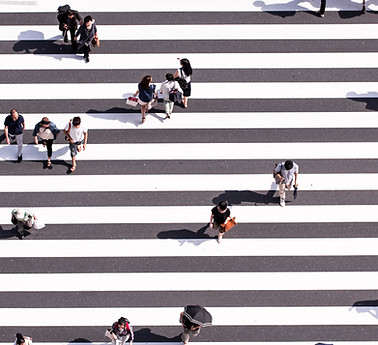 ryoji-iwata-n31JPLu8_Pw-unsplash.jpg