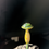 Thumbnail: Plant Friend by Precious Outs 🍄 (PF05)
