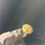 Thumbnail: Plant Friend by Precious Outs 🍄 (PF05)