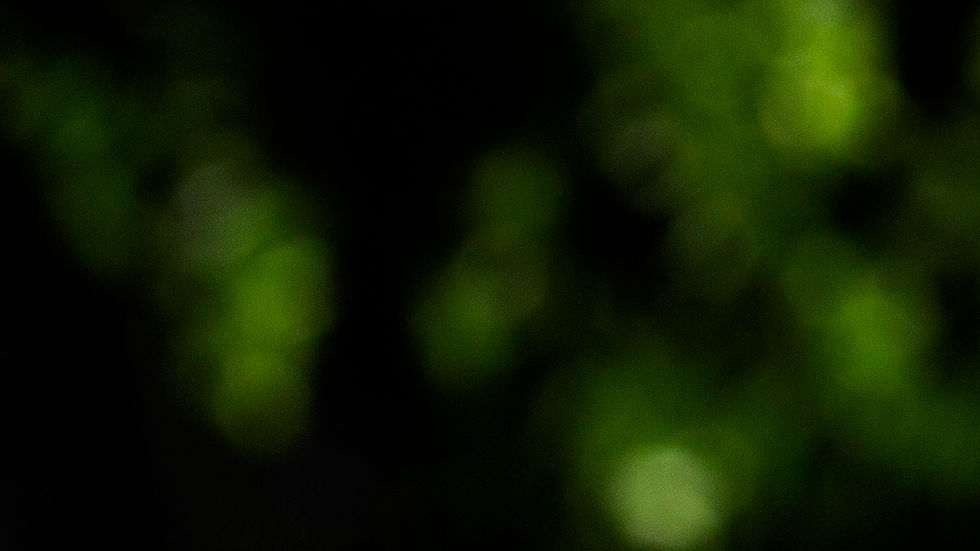 Green and Black Backaground.jpg
